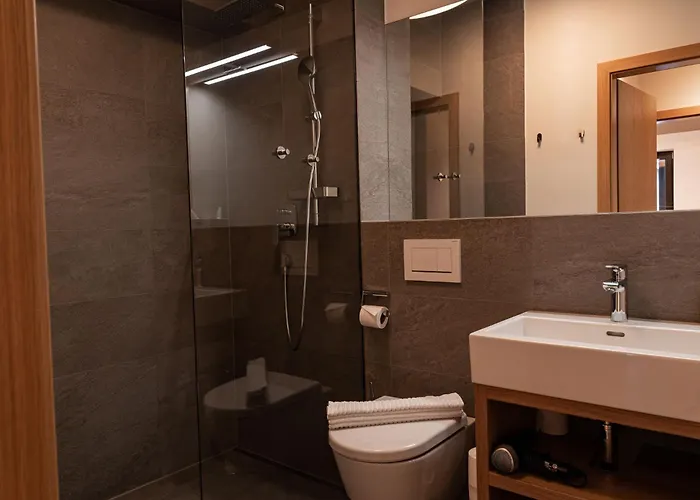 Max Relax Summercard Included In-ski Out シャレー ツェル アム ゼー