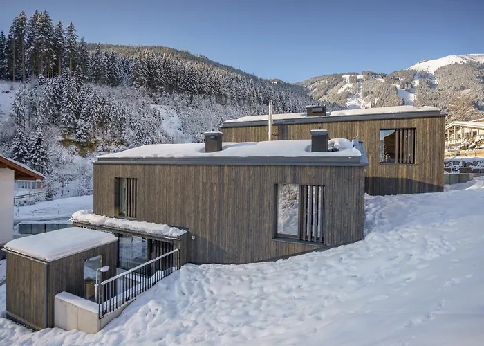 Max Relax Summercard Included In-ski Out Zell am See