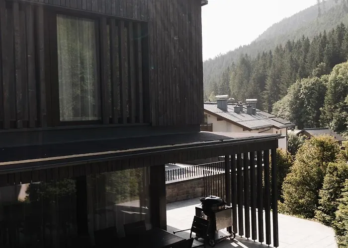 Max Relax Summercard Included In-ski Out * Zell am See